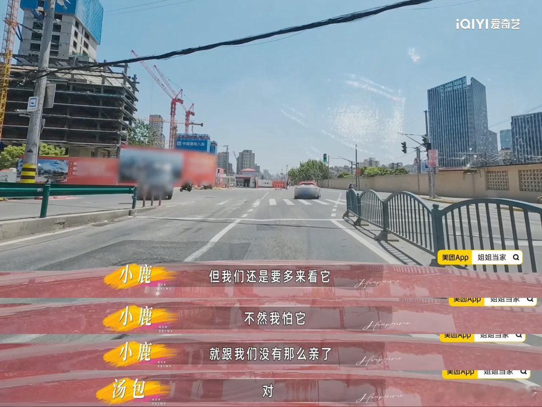 养宠物的人备孕分离焦虑怎么办小鹿汤包这段真实展现养宠备孕人的困境！墨尔本经常被异