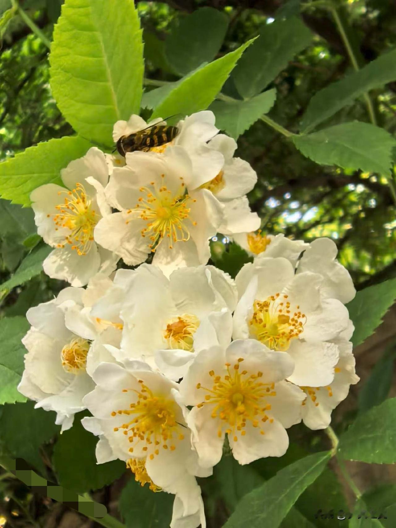 【小对联】
上：……？
下：不喜不悲。