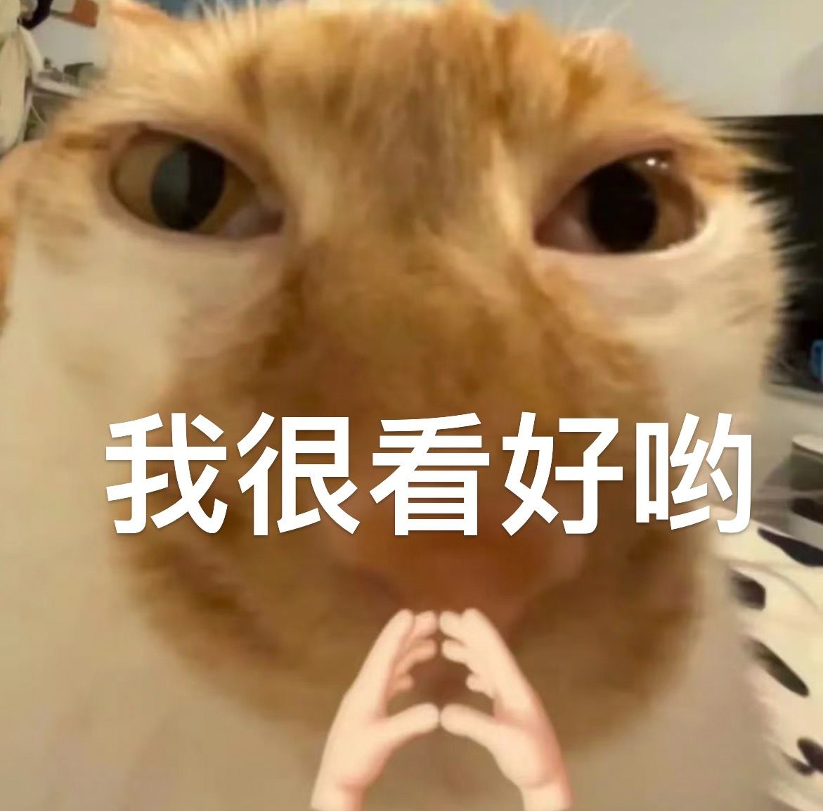 尚界H5小订18小时突破5万台这就是一步到位的SUV的实力吗？！小订突破五万台足
