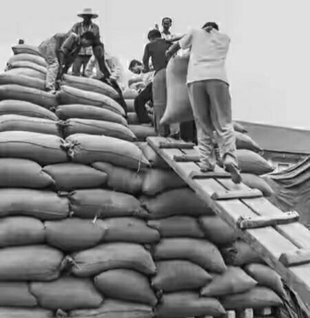 在农村下乡的时候，最怯的就是往粮库上面抬大包（如图），那个木板晃晃悠悠的，每抬一