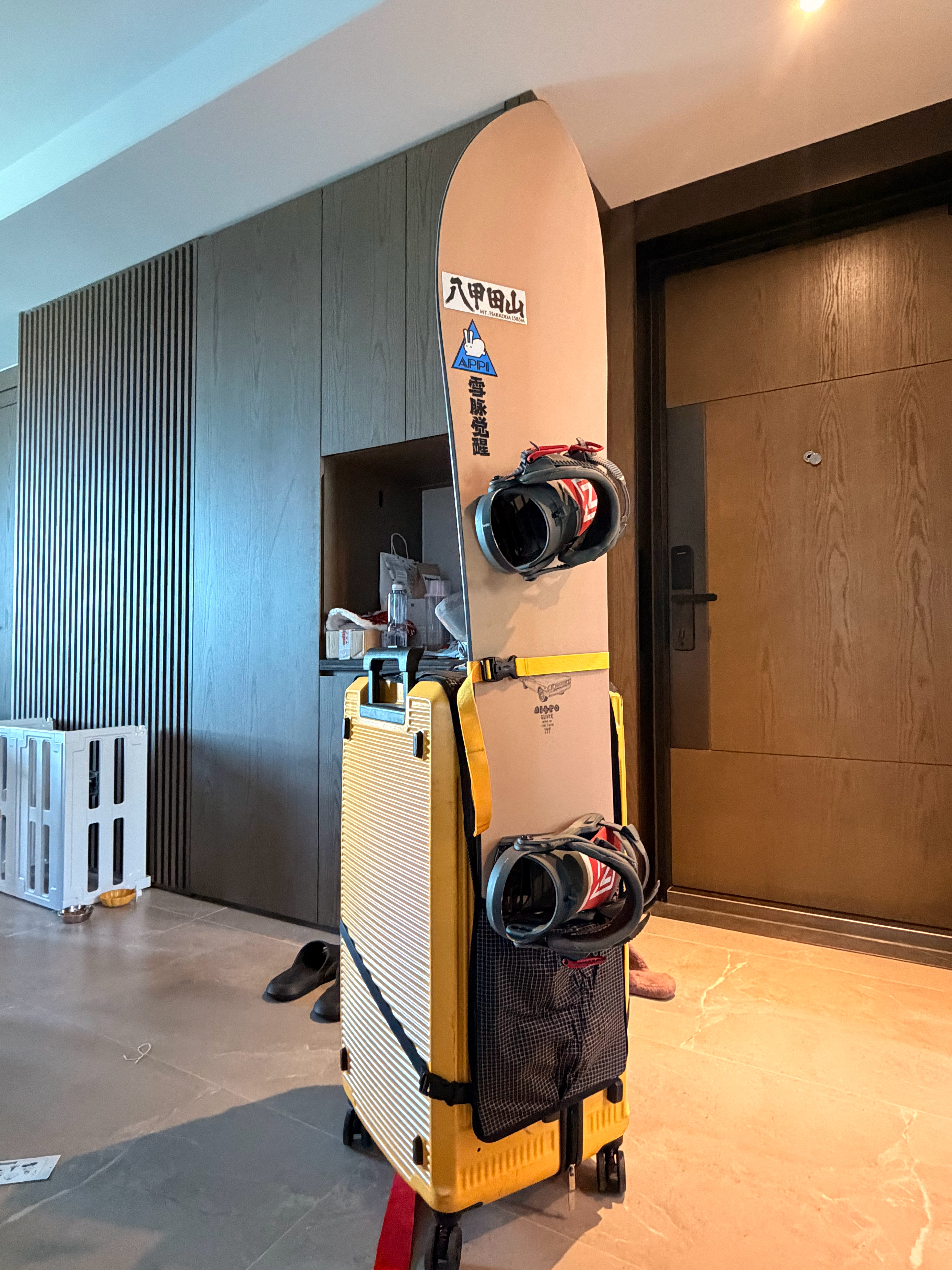 买了个套箱子上的雪板侧袋，不知道结不结实不过80多块钱能成功用一次就回本了 