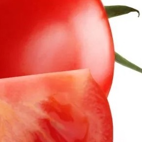 种植文案 番茄的种植方法🍅：1、土壤条件西红柿的栽培种植技术西红柿适宜生长在保