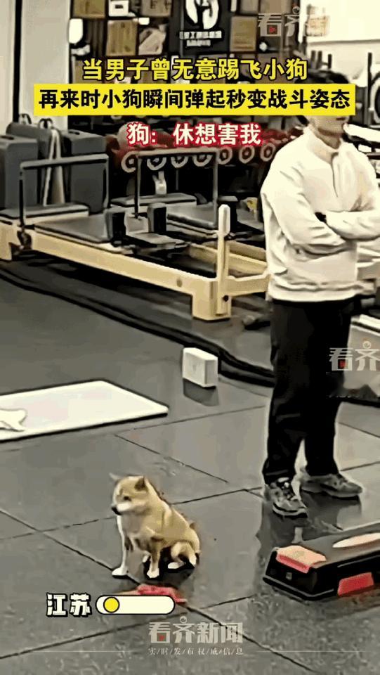 笑不活了，江苏，一男子在健身房和别人聊天，没注意将健身房的一只狗子给踢飞了，自此