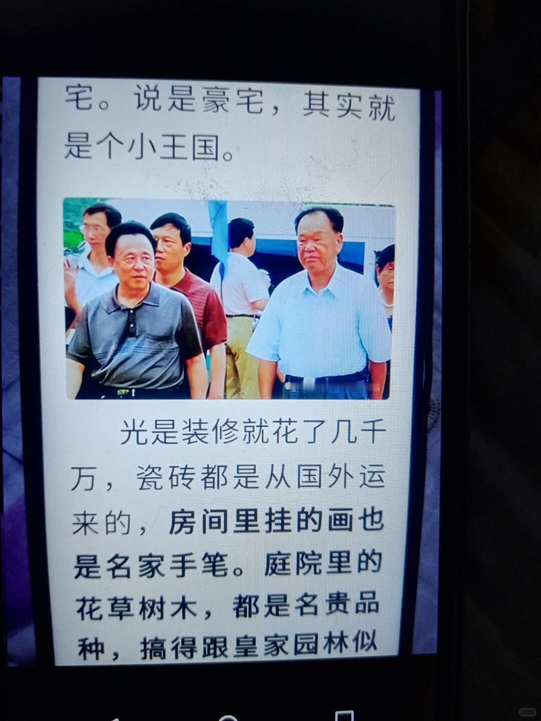 倪福林——湖南益阳籍、深圳早年知名地产商，从全国劳模→百亿富豪→网上追逃→被判重