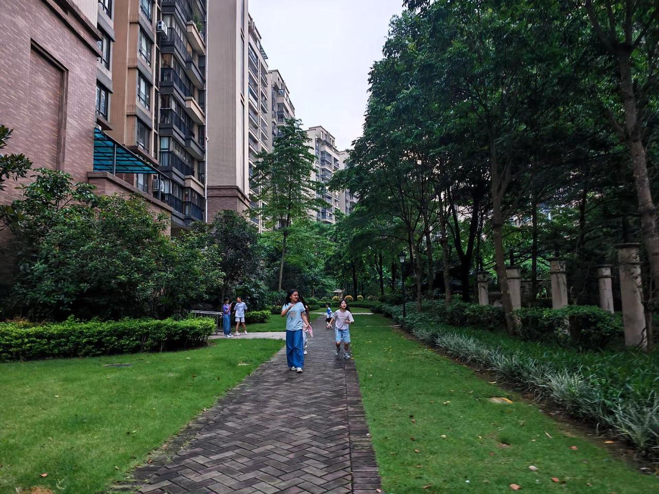 小区小径