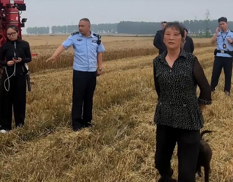 “优柔寡断”式执 法，恐怕是当前社会的一大问题！

1.割四赔五
湖北襄阳地头，