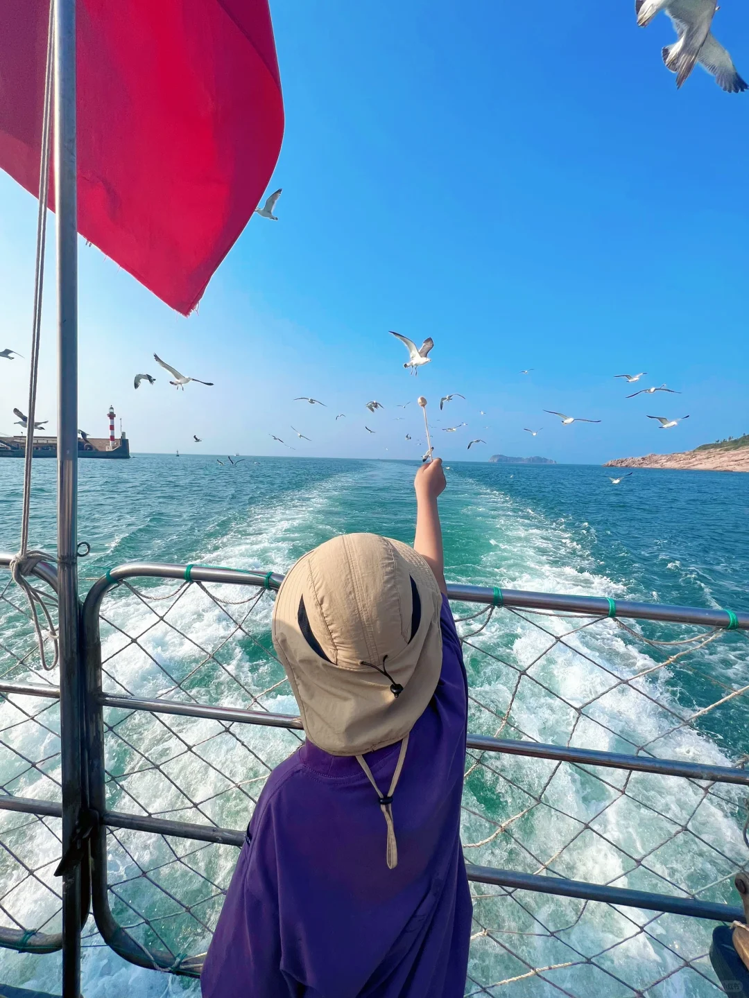 来威海啦🌊神雕山野生动物园海驴岛攻略奉上