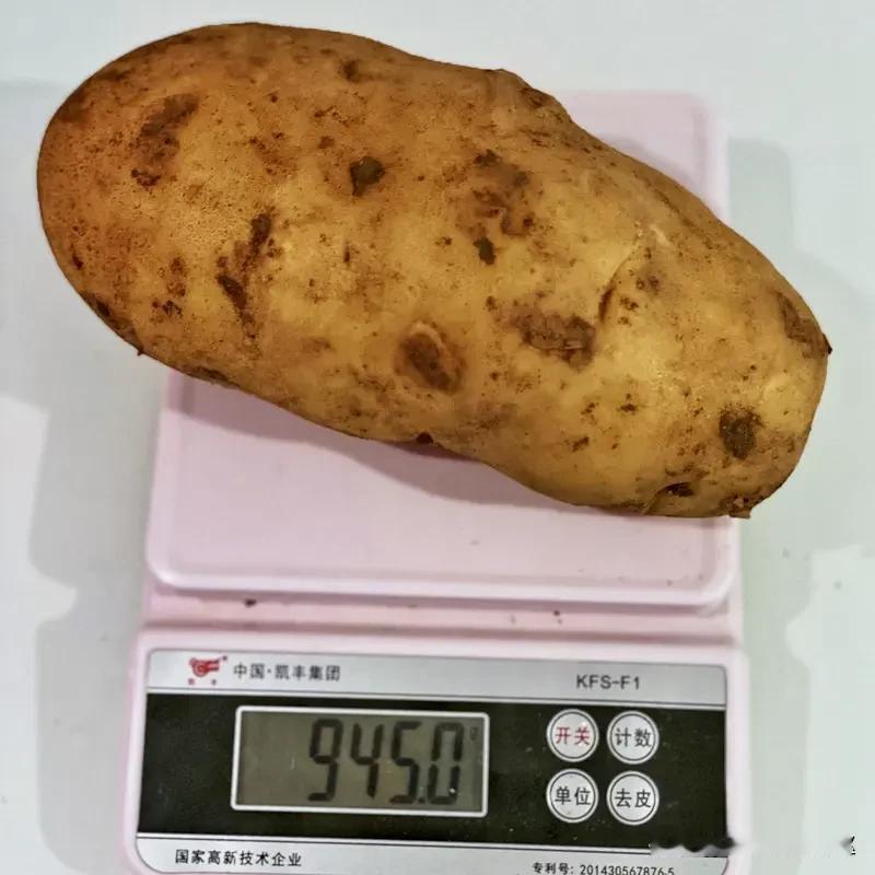 高中生不知道一斤有几两？
        在给学生讲概率统计这一部分内容时，有一