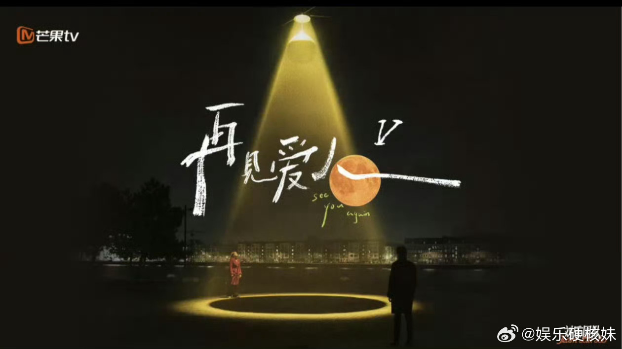 林心如再见爱人5再见爱人5观察嘉宾 再见爱人5明星观察员李维嘉 林心如 胡彦斌 