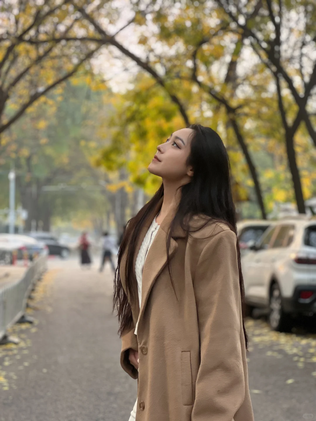 北京的秋｜银杏黄了的童话世界