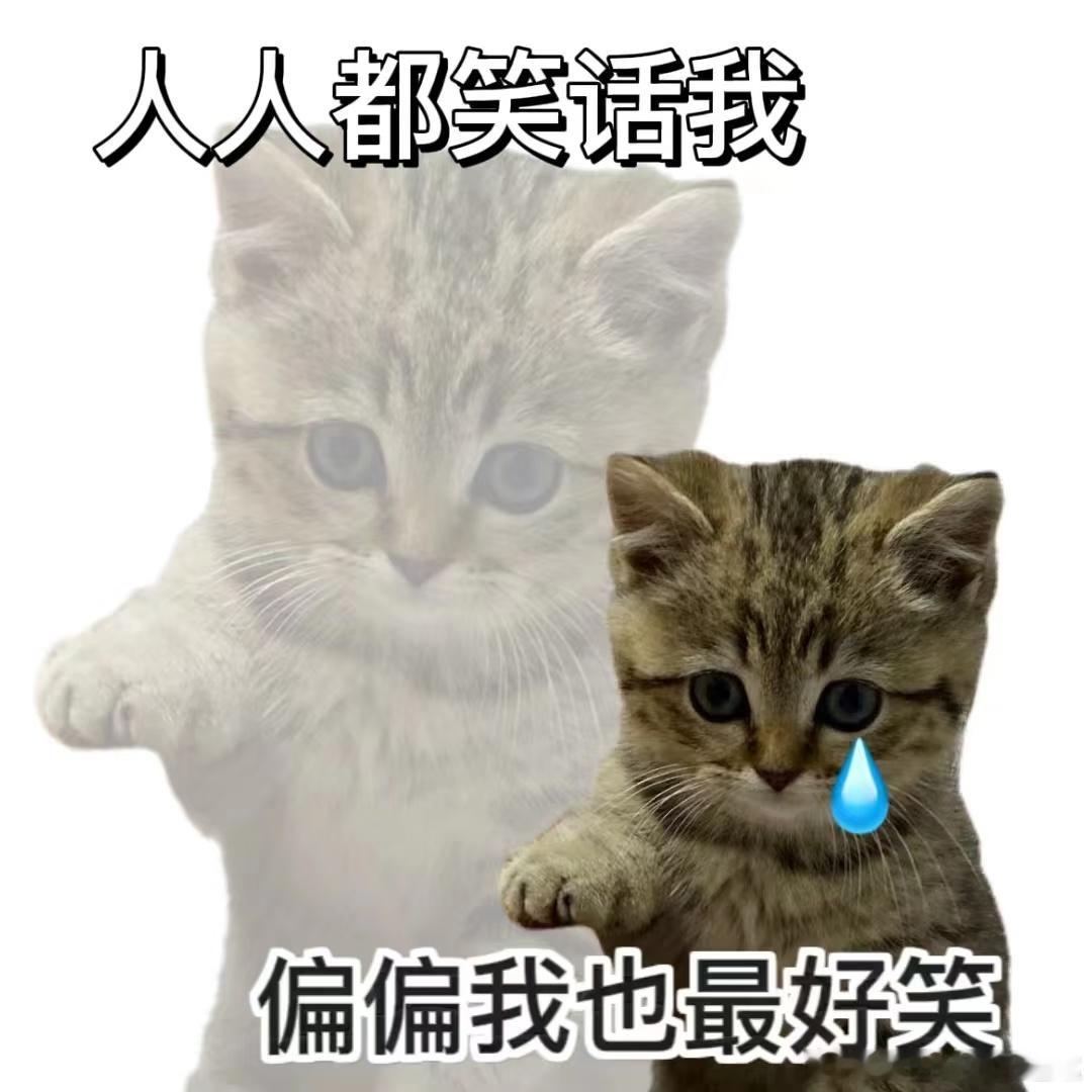 人家说想去山东，你们也是疯狂成全 