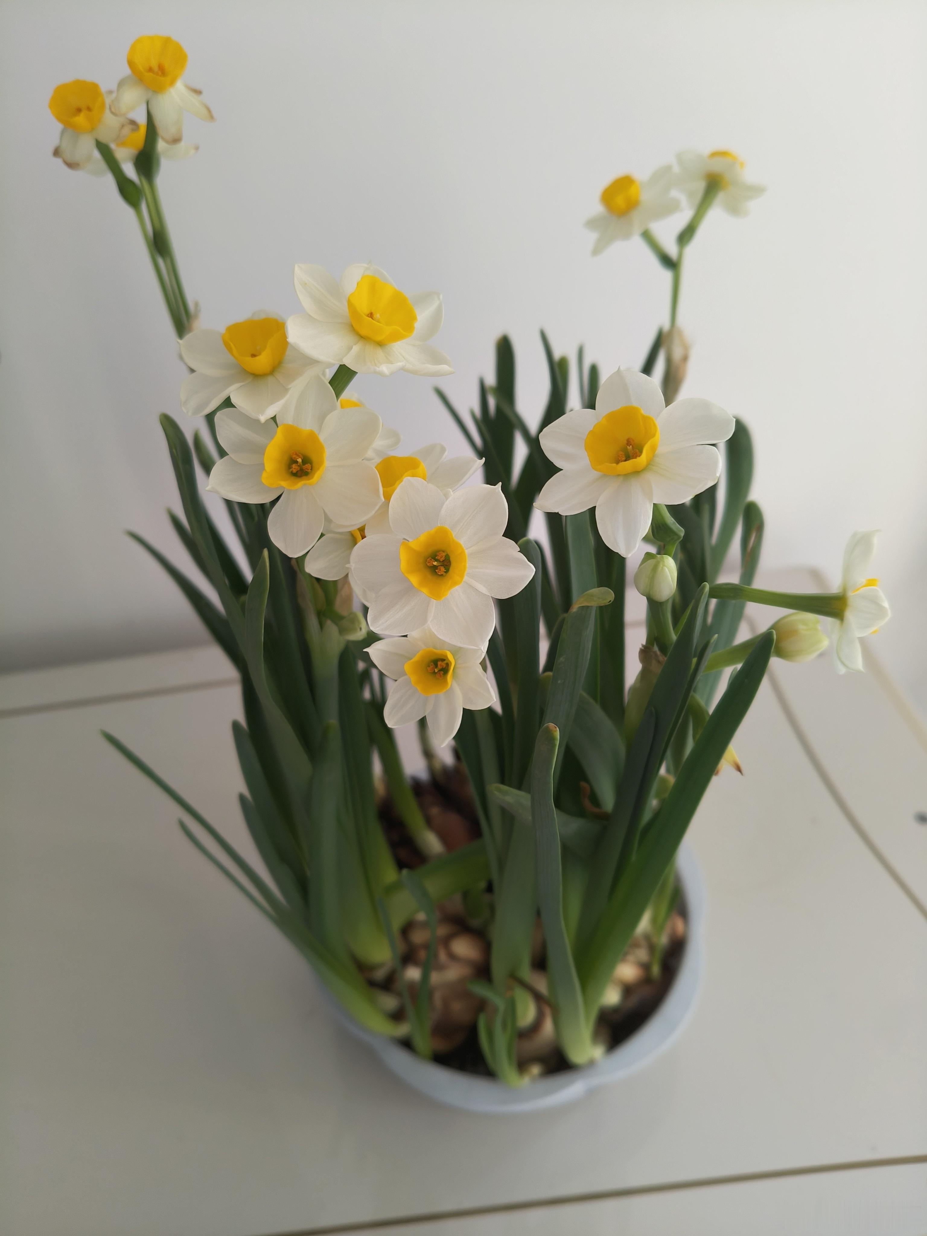 每一个清晨，记得告诉自己：没有奇迹，只有你努力的轨迹；没有运气，只有你坚持的勇气