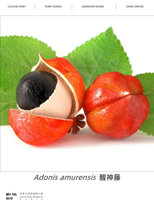 Look in my eyes——你能逃得掉么？🍒