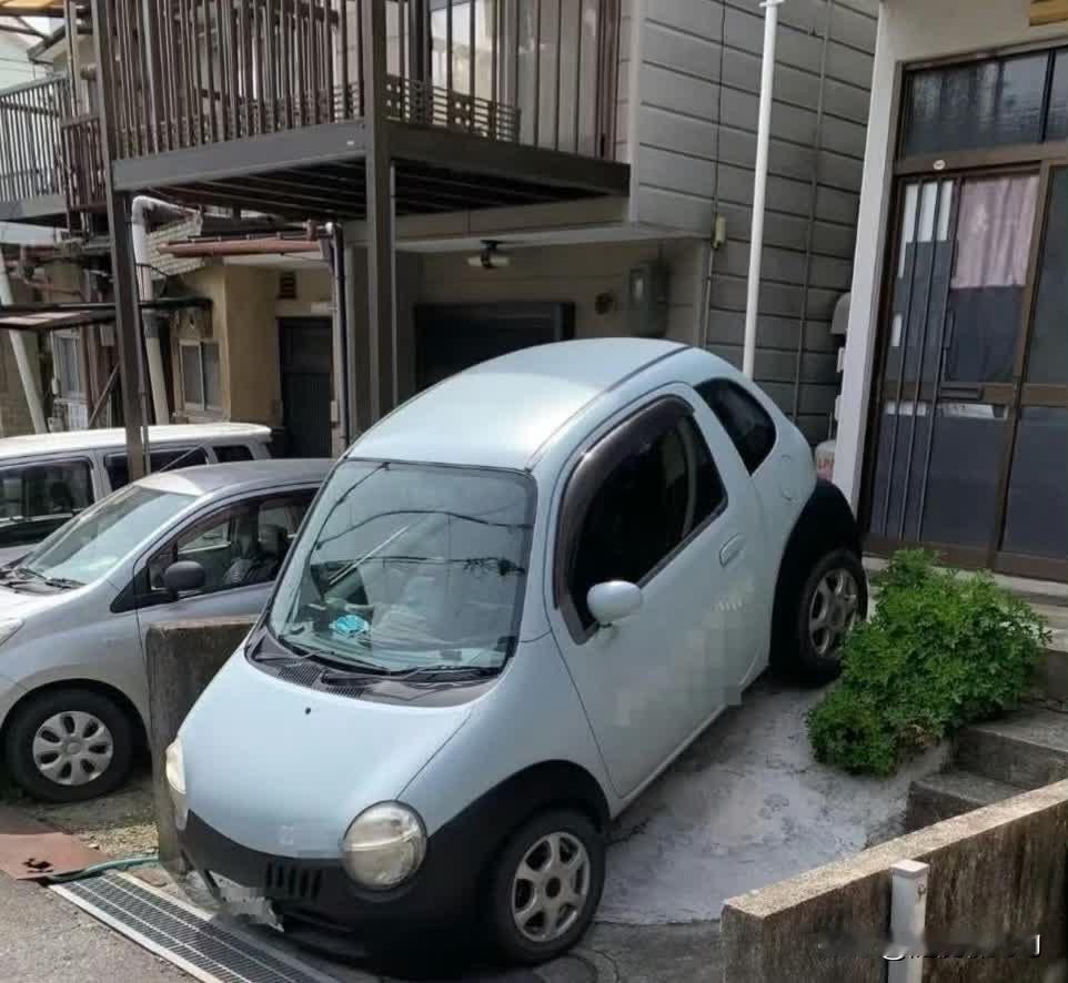 看看极限环境的极限停车[赞]