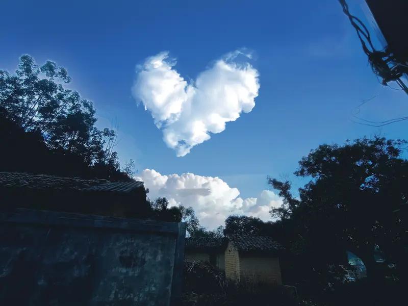 永远别骗对你好的人，
他的温柔与偏爱，从来不是人人都给。
永远别辜负一颗真心待你