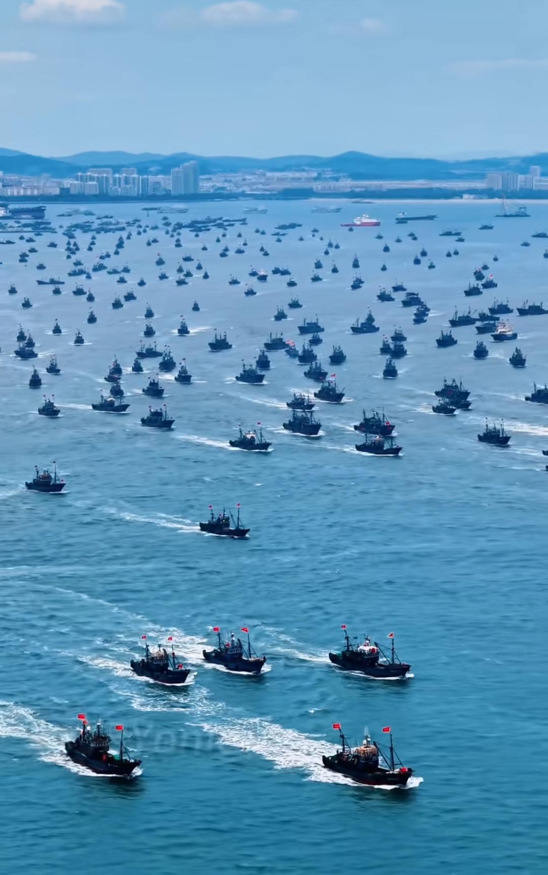 山东开海了，千帆竞发
