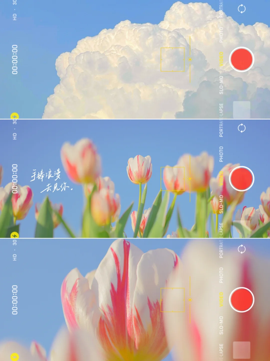手机调色✨童话春日郁金香滤镜🌷拯救废片❗️