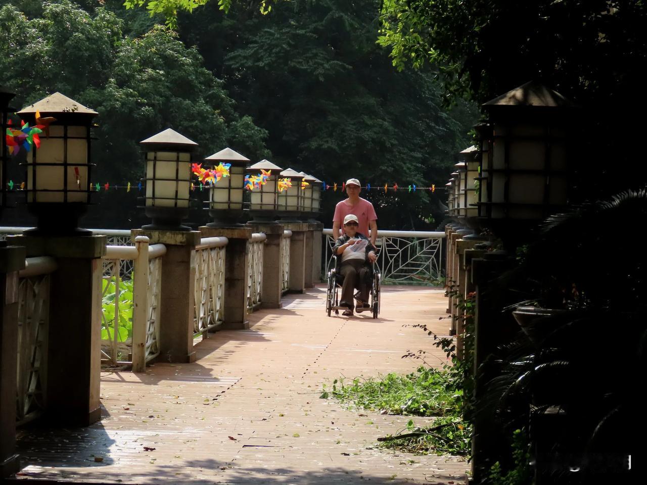 扶老携幼，相伴长路