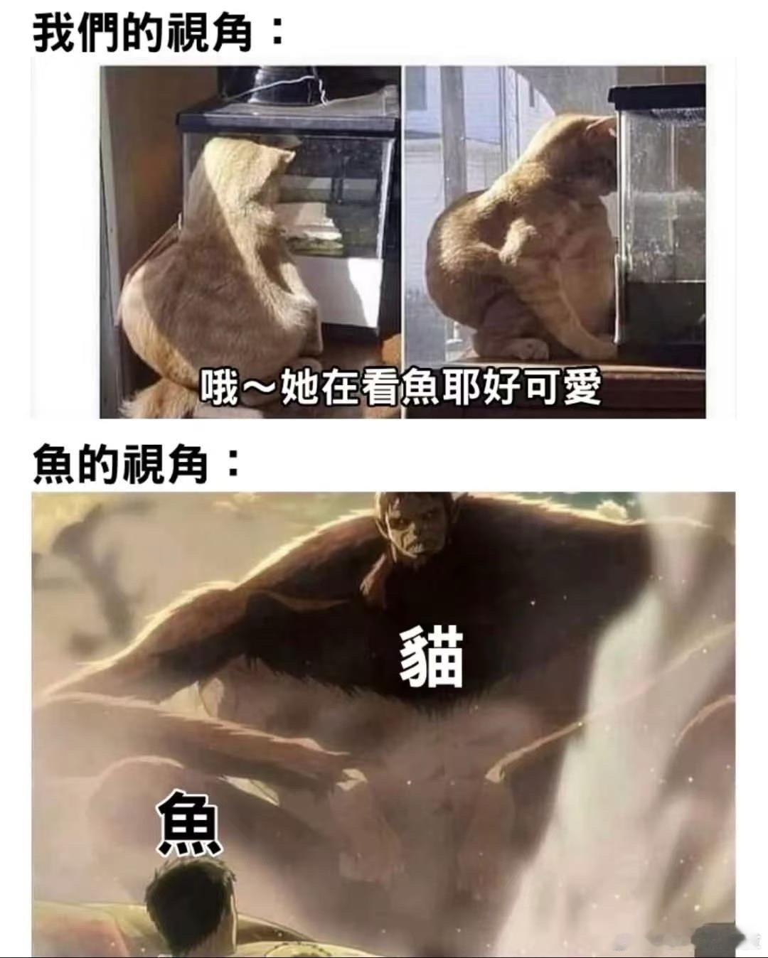 记得要多方位思考问题 