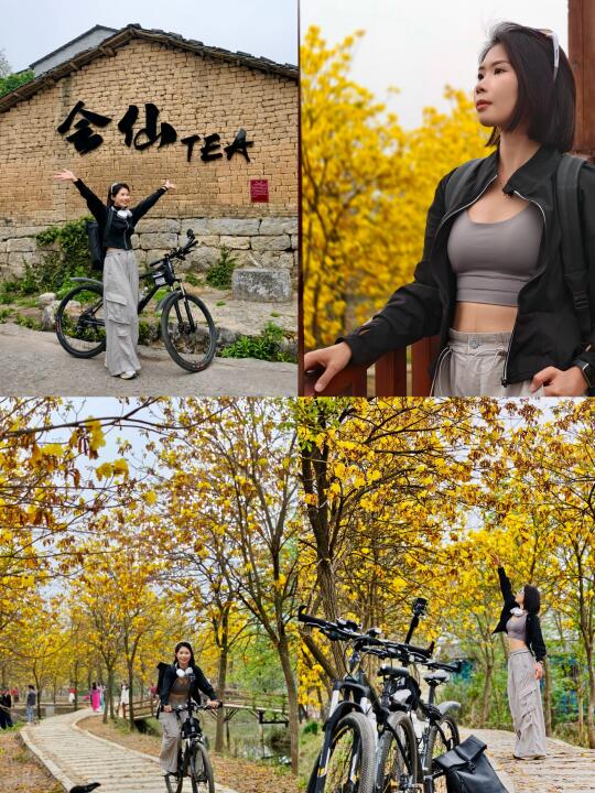 休闲骑55公里淋成落汤鸡｜去看黄花风铃木
