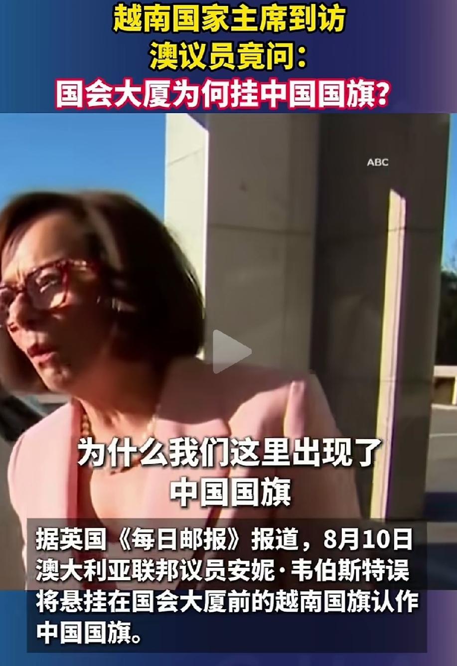 有时候看到这些反华议员都很搞笑，连越南国旗都能认错！我敢说这些议员的地理水平绝对