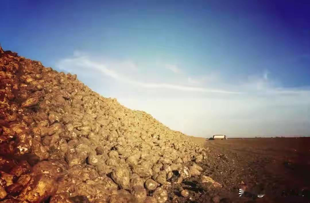 这场家门口的战火，竟关乎中国反制美国最大的底牌这场家门口的战火，竟关乎中国反制美