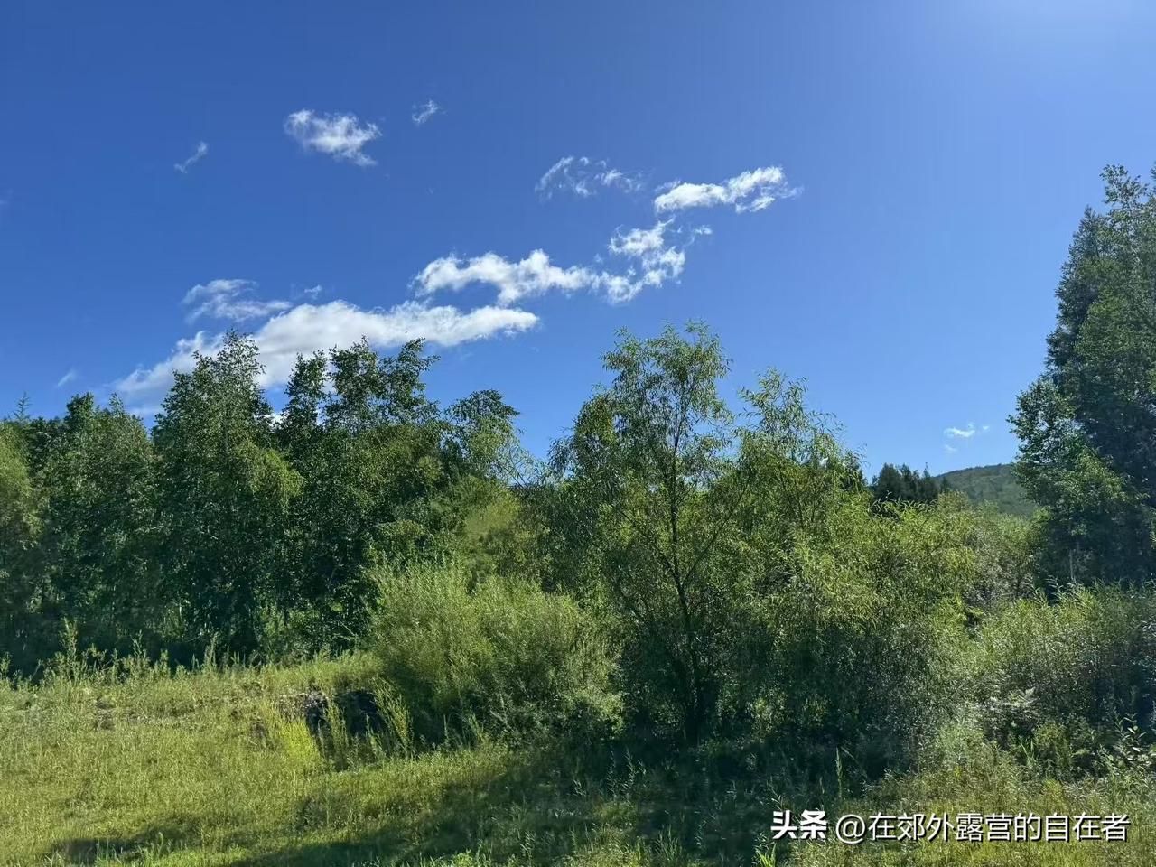 坐公交时总能看到暖心一幕：年轻人起身给老人让座，大爷大妈连声道谢，车厢里瞬间就暖