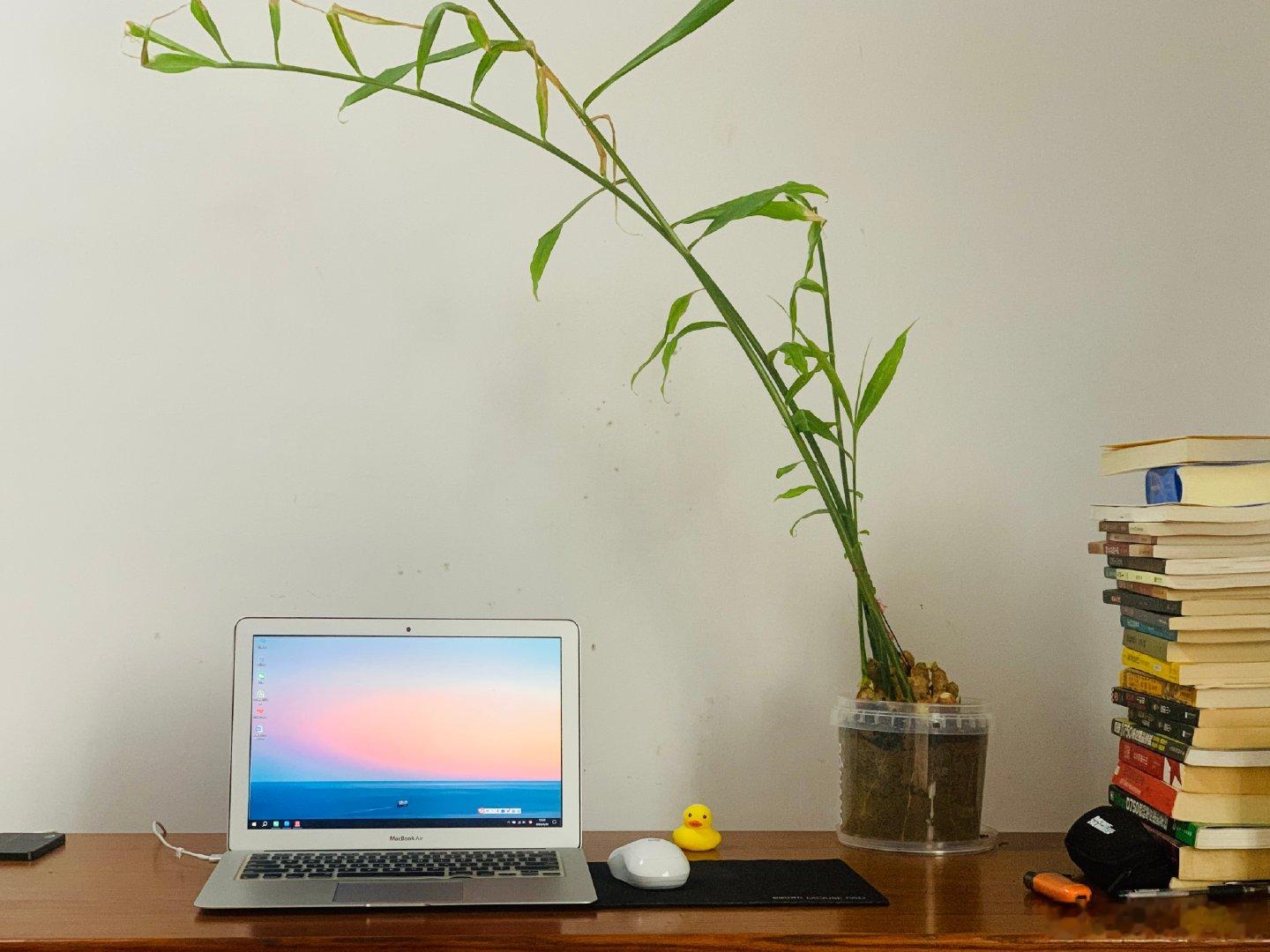 《夏夜小卖部》那年我高考结束后，整日在家帮着干农活。七月的太阳毒辣，晒得人后背发