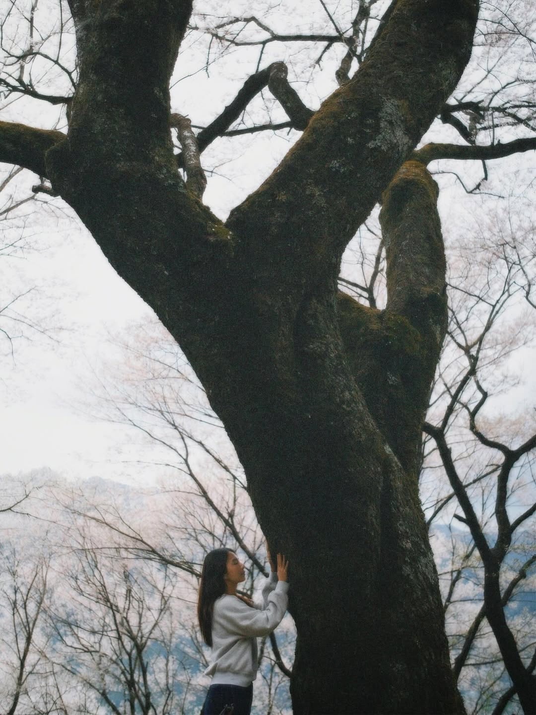 天呐！田馥甄在43岁生日这天宣布自己的第六张个人专辑真的coming soon！