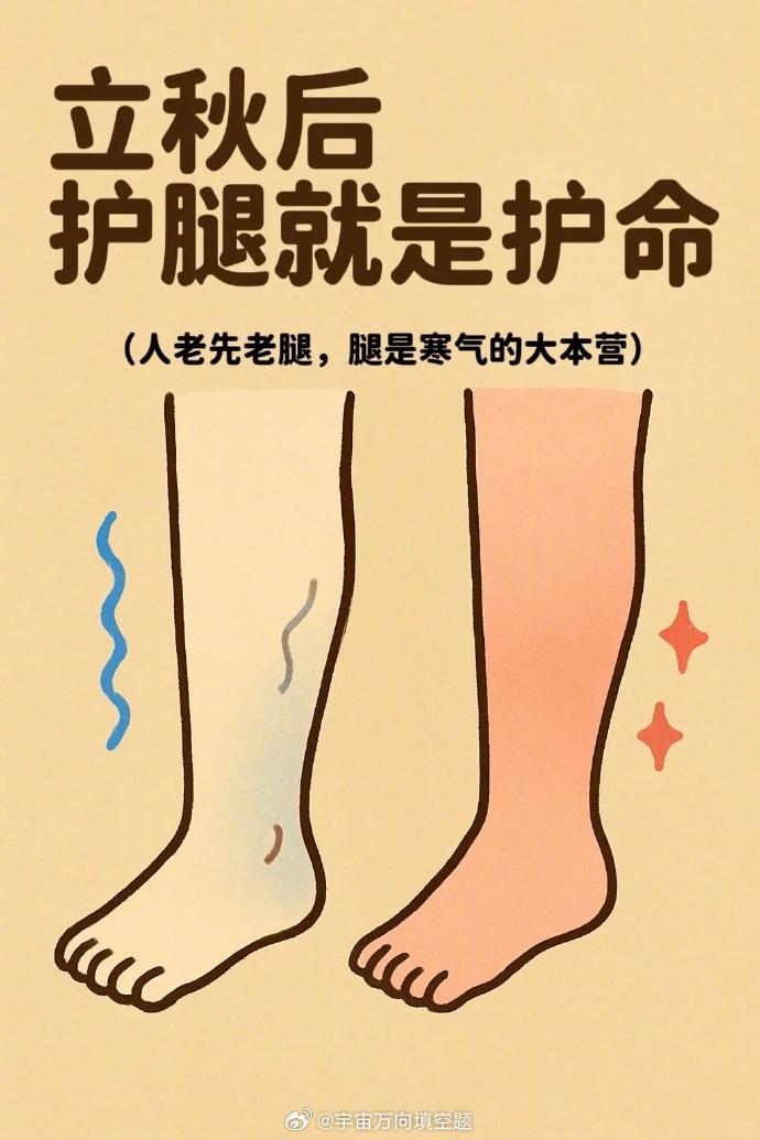 立秋后护腿太重要啦！腿是寒气“大本营”，寒湿淤堵会让腿凉、浮肿，还影响气血循环～