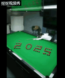 功夫了得，看到这个动图，2026年不交好运都难！