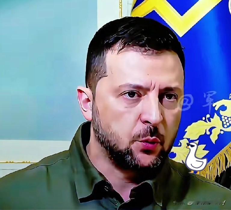 快报！快报！

就在昨天乌克兰总统宣布

10月31日，乌克兰总统泽连斯基宣布乌