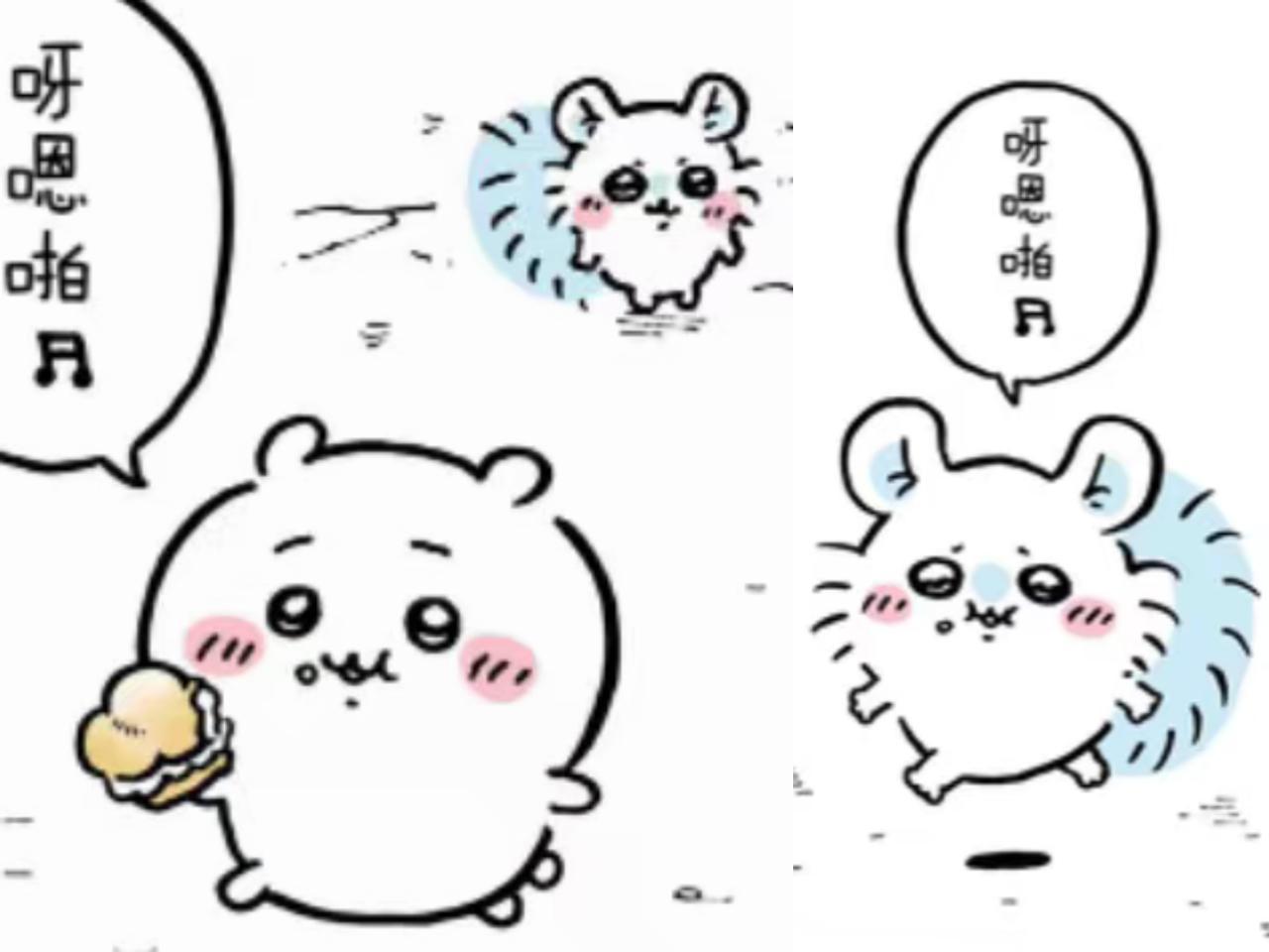 猪儿这个敏而好学23462 