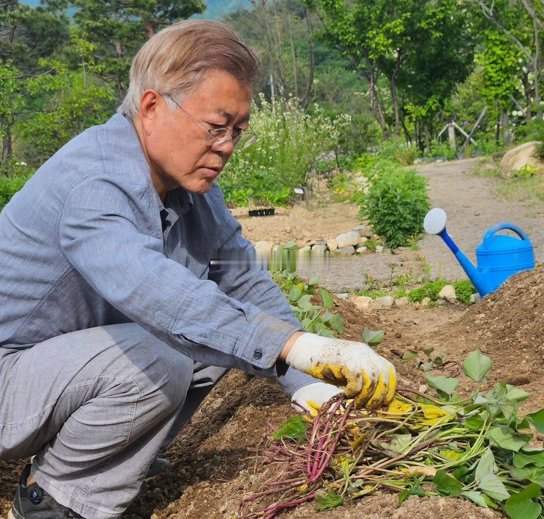 韩国前总统文在寅是第一个破除"青瓦台诅咒"的离任总统,文在寅离任后在农村养老，闲