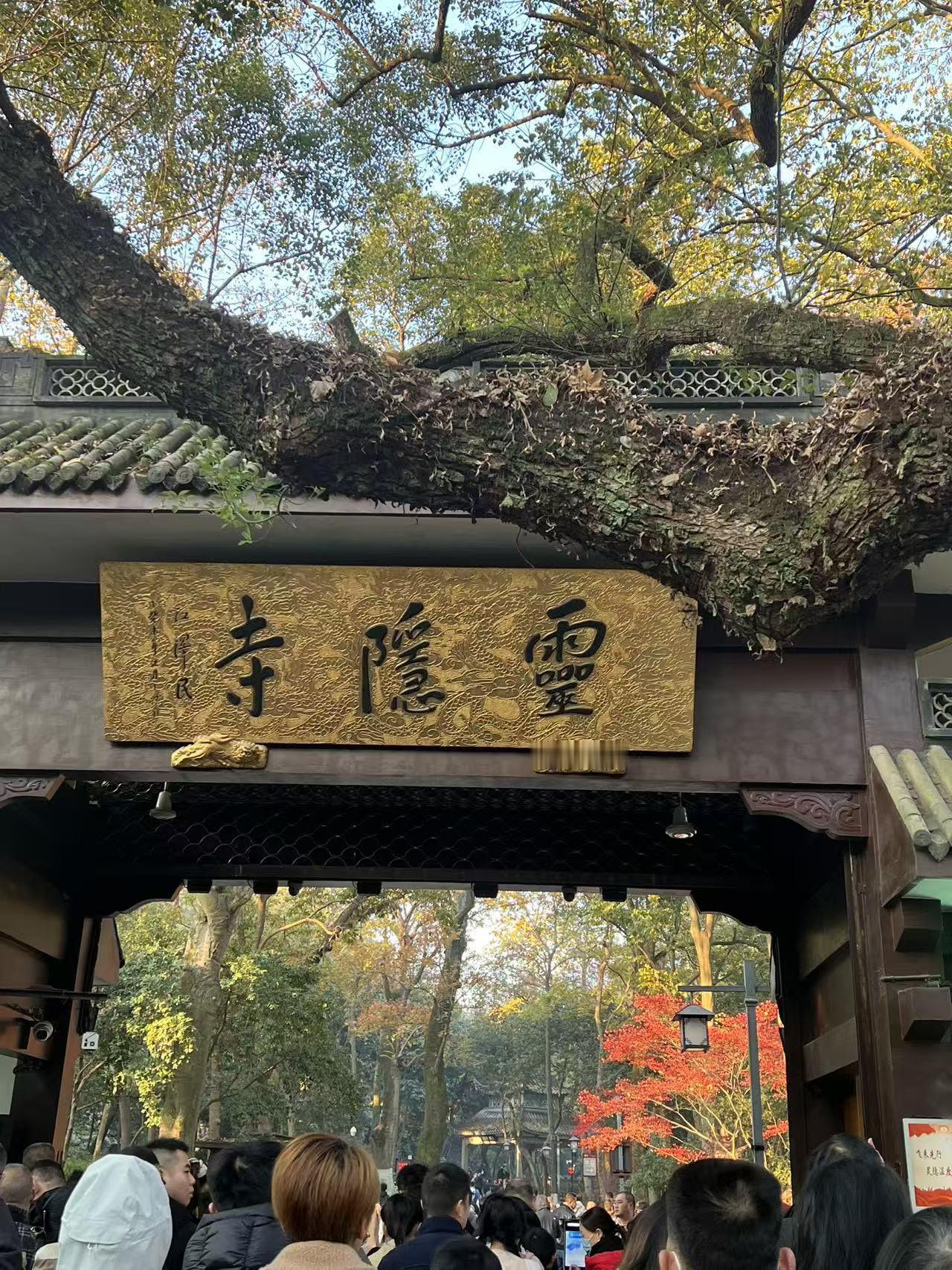 分享一张最近随手拍的照片