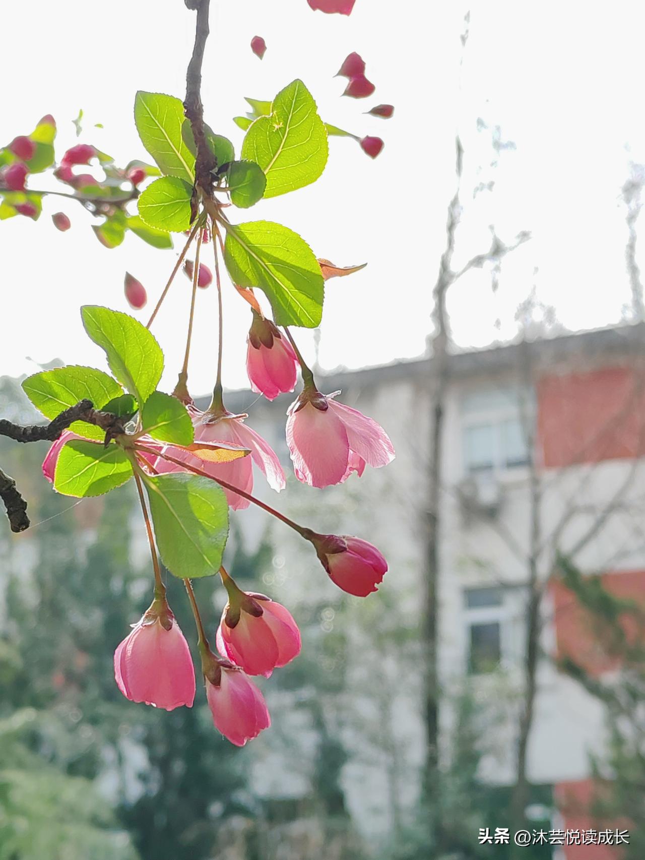 退休后的生活里
都围着最亲的家人打转
我们常常以为远方才有精彩
后来才发现
岁月