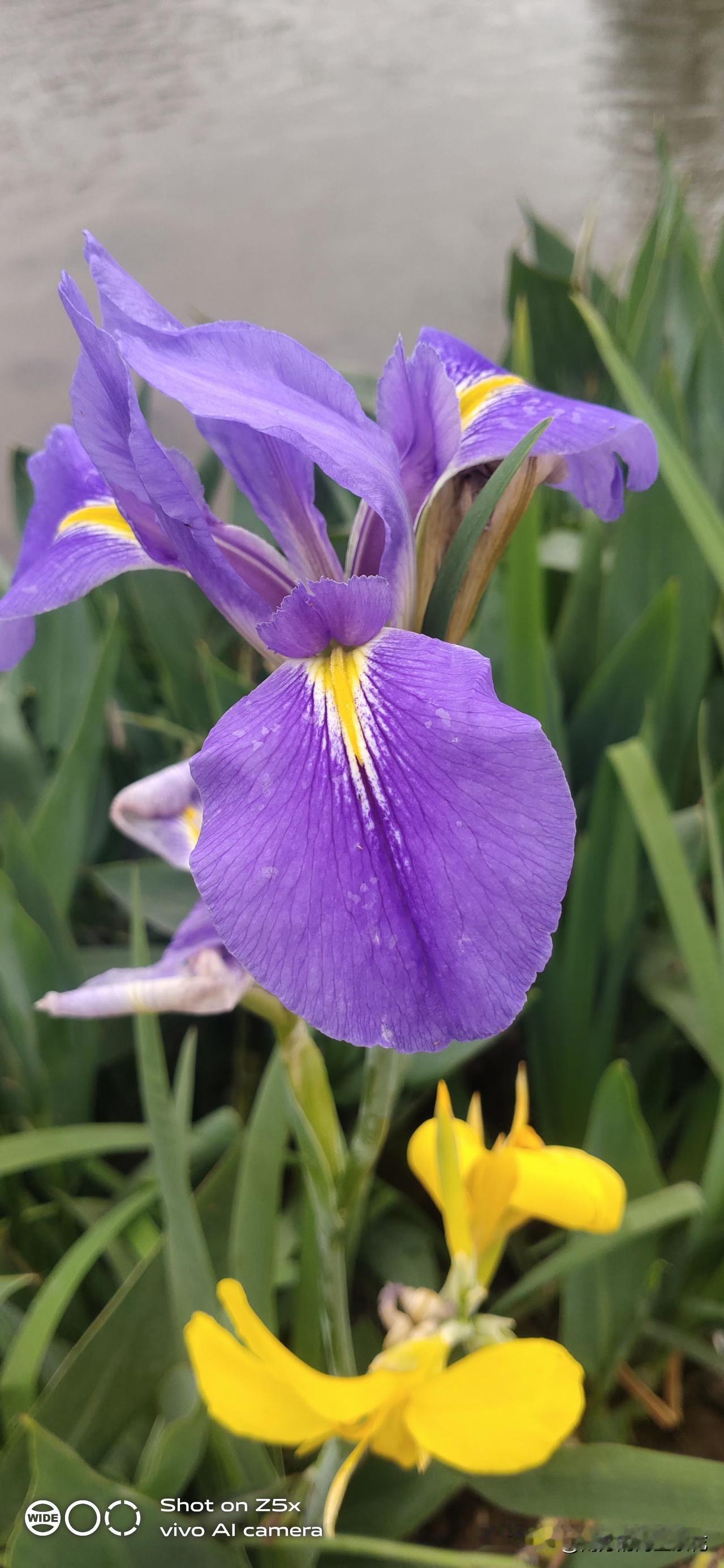 想到什么就写什么，这就是我写的头条。
今天不知道写什么了，想到在头条很多友友都和