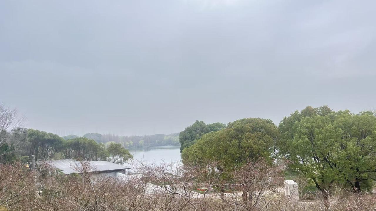 3月23日，星期一。上海今天温度好高17度。 
风不冷不热，刚刚好。 

停了两