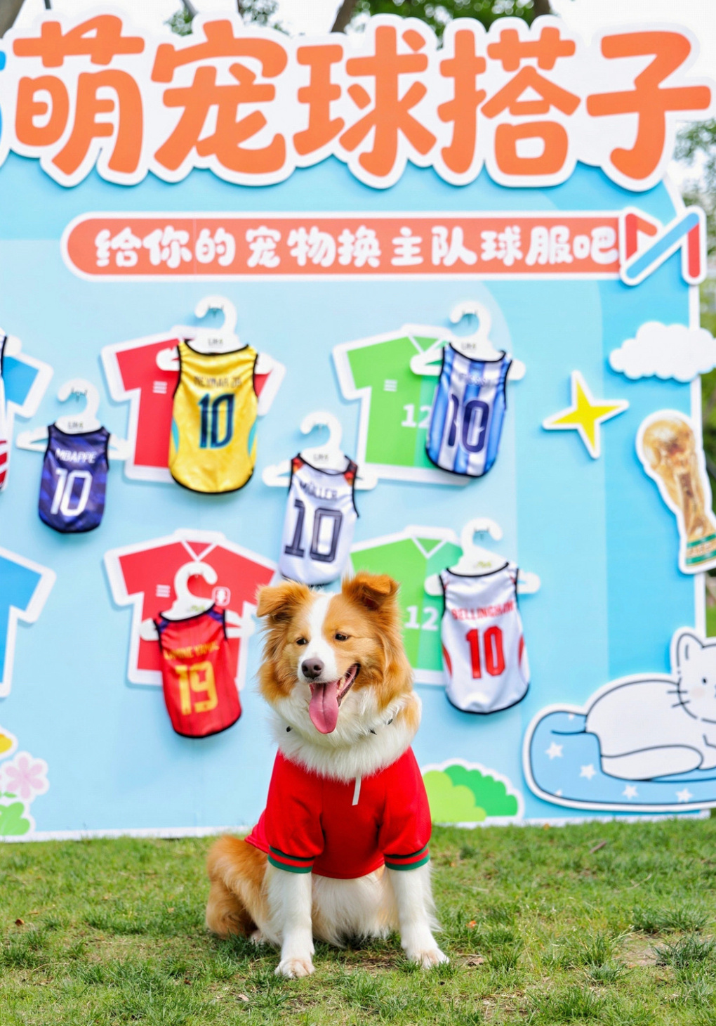 上海小狗也来预测世界杯了上海萌宠预测世界杯32强 笑死我了！上海的小狗都开始预测
