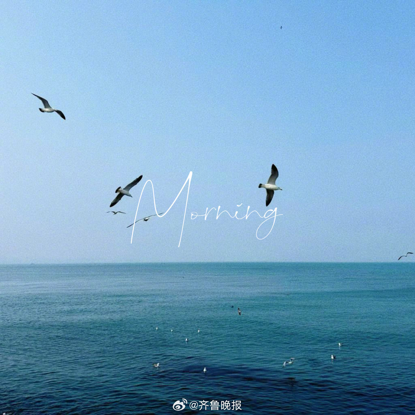 苦难都会过去学会和自己和他人和解#早安#