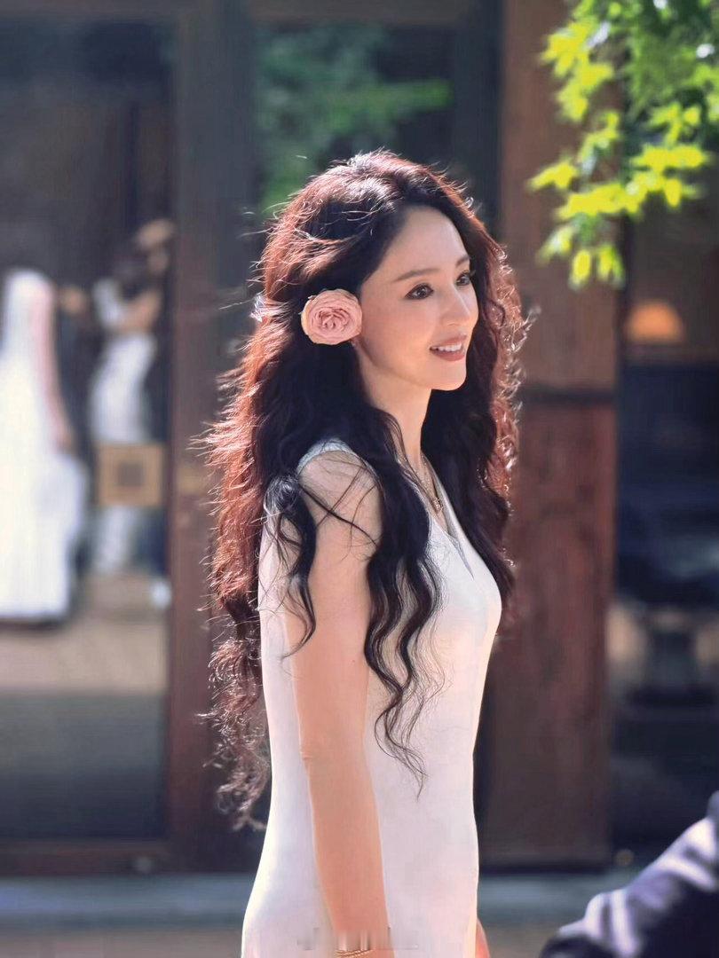 董璇 
