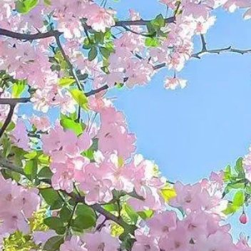 每日一善   每日一善   阳光信用 人生不会事事如意，生活不会样样顺心，如果一