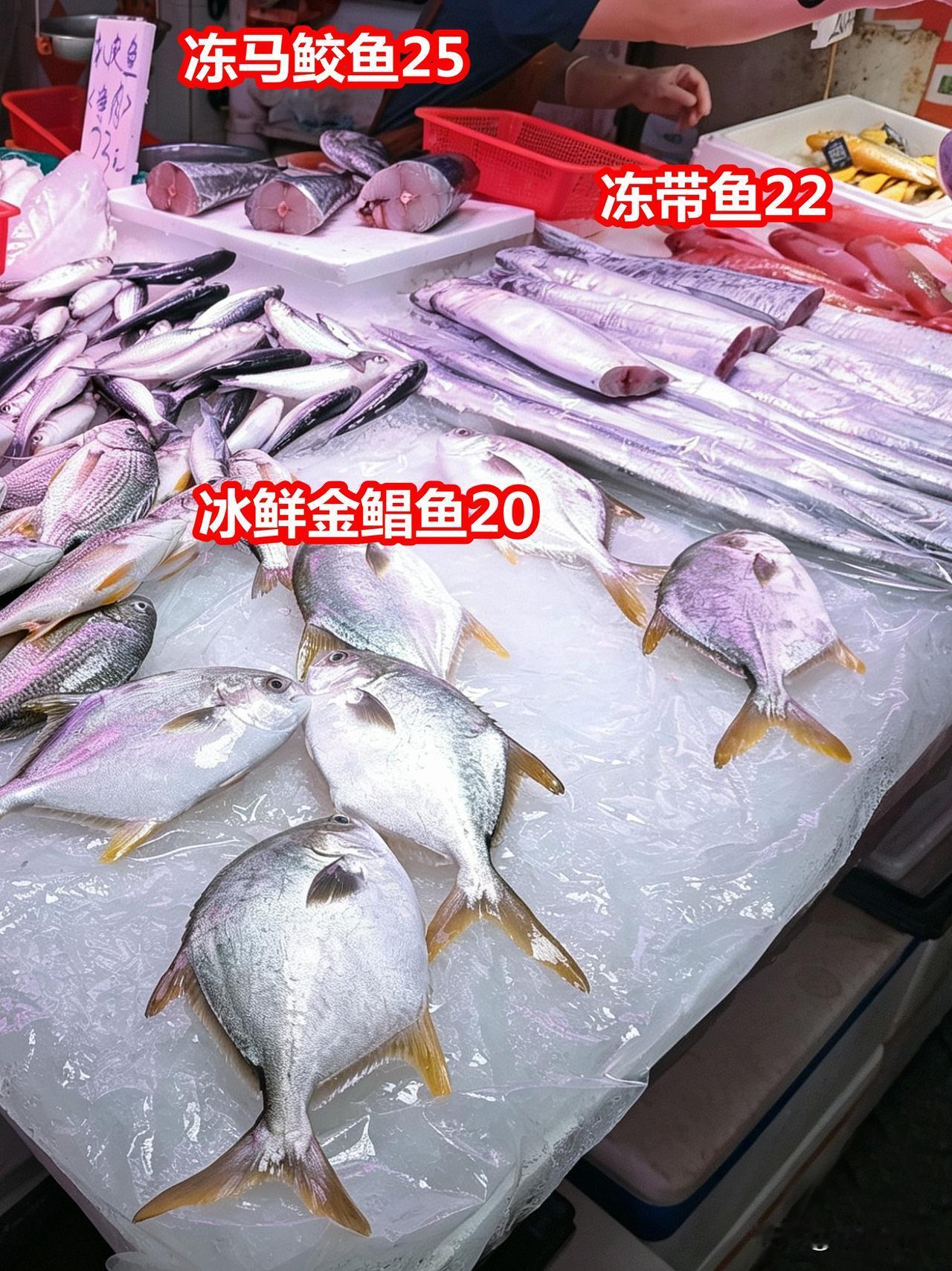 冻马鲛25，冻带鱼22，冰鲜金鲳20，选哪个？
我选带鱼，摄于广州沙园西华市场。