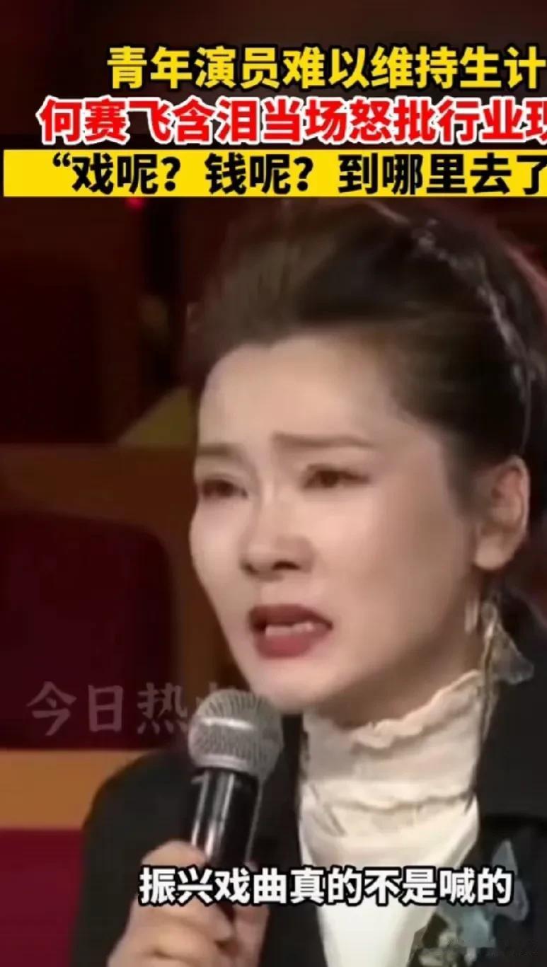 何赛飞声如此嘶力竭为哪般？其实，类似戏曲行业这种一地鸡毛的事各行各业早已屡见不鲜