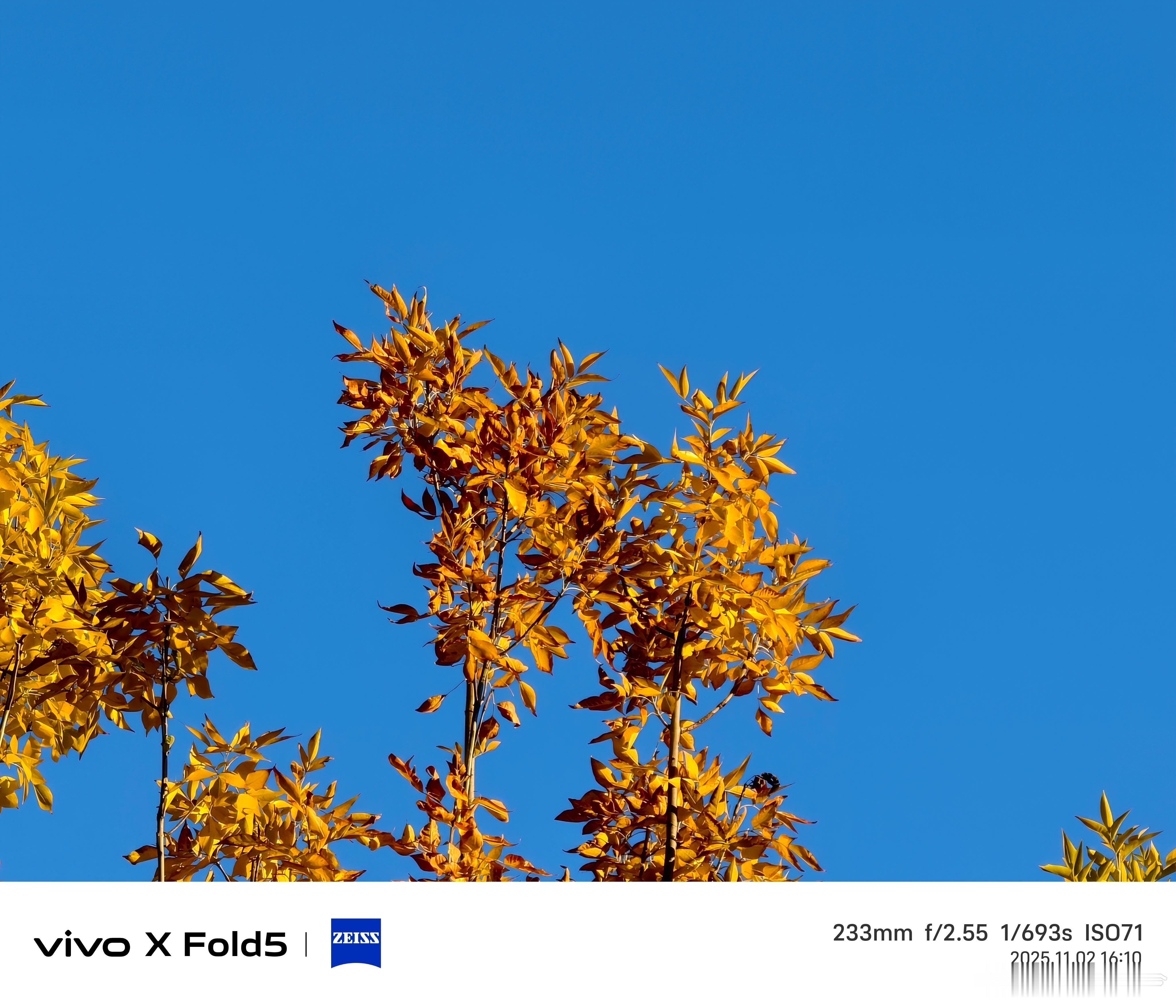 秋天vivo x fold5秋天 ​​​