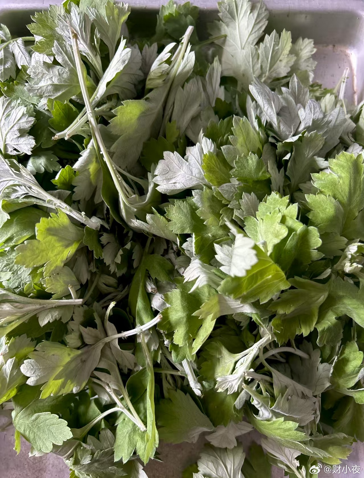 各地春日寻味地图上新今天吃上了小姨自己做的青团。好吃。外面的青团，包装精美、口味