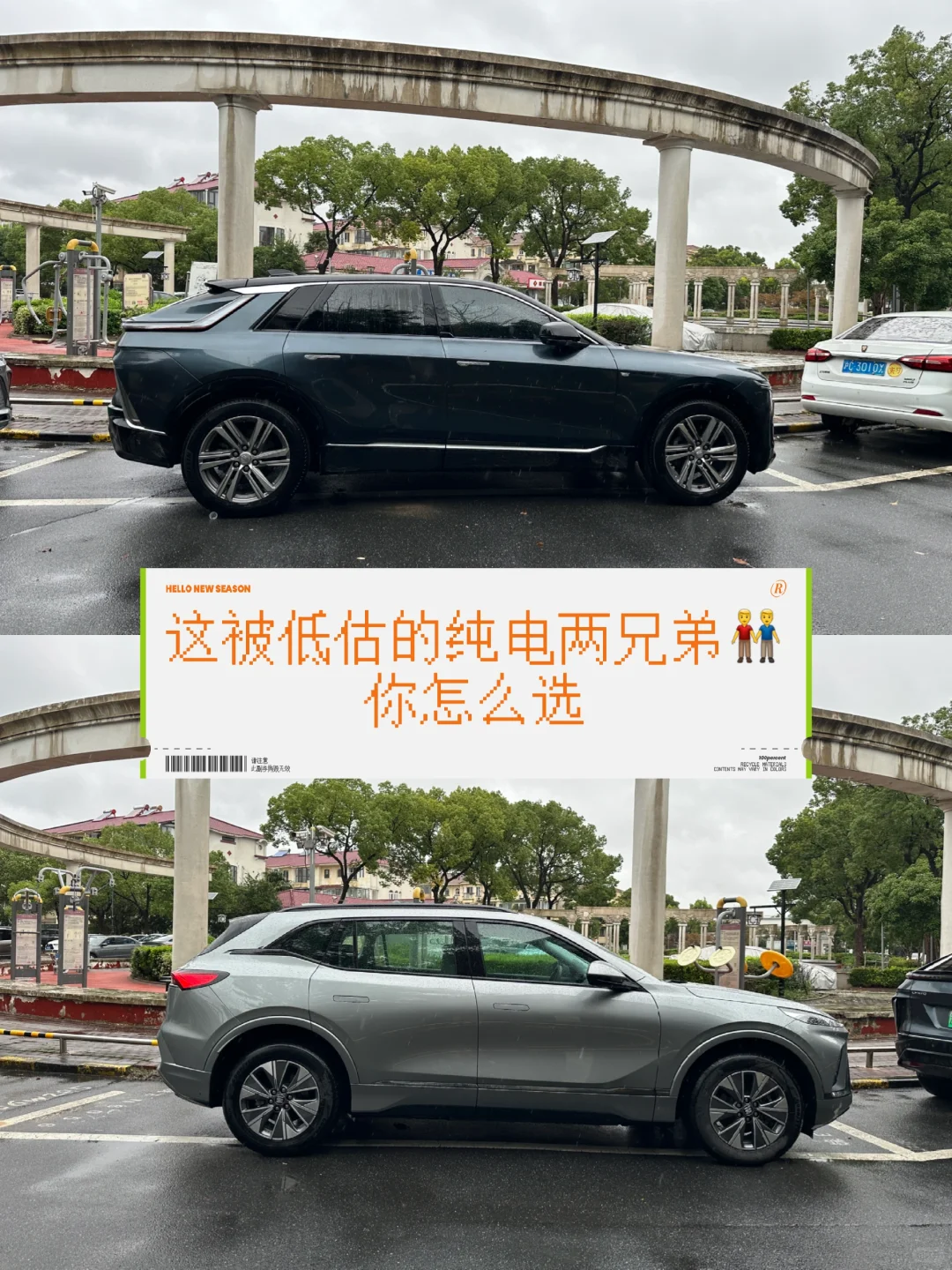 纯电失意两兄弟一个十几万一个二十几万