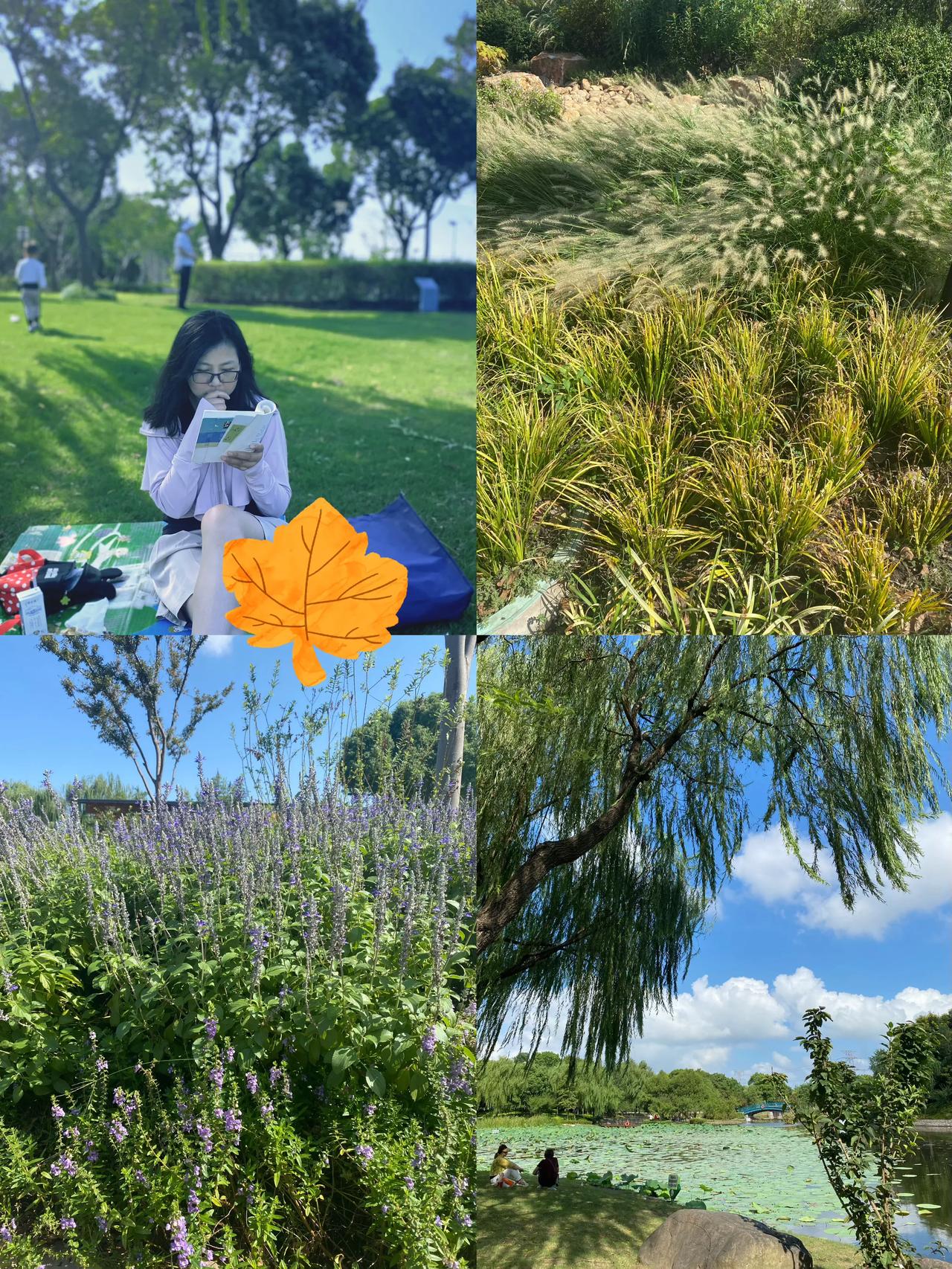 秋风、蓝天、白云 与 书。

台风过后，上海终于有了体感上的秋天的凉意。
	
昨