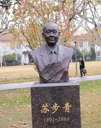 1937年，著名数学家苏步青有一回出门办事去了，他的日本妻子苏米子正在家里洗碗，