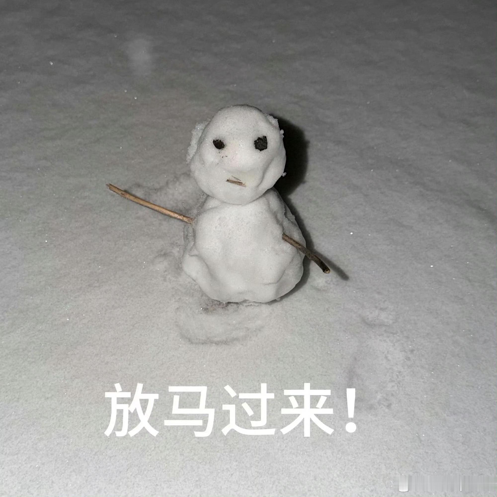田栩宁小室这雪人也是别出心裁啊不好意思实在不知道该怎么夸！还是多看看阿栩的帅脸吧